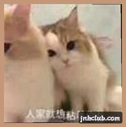 孙丽